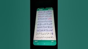 سورة المائدة الآية 96-98 سعد الغامدي