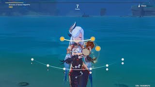 Blossoms of the summer night Pro perfect Genshin impact