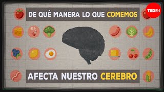 Cómo nuestra alimentación afecta al cerebro  Mia Nacamulli