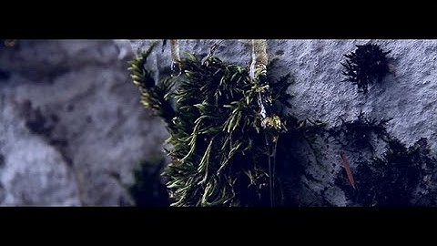 CLUSTER  (feat. Tobias Koett) by Monophobe / music video