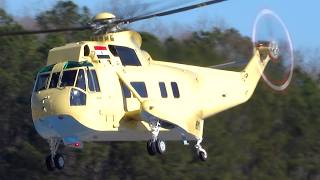 Egyptian Government VH-3A Test Flight | Extended Hovering, Takeoffs & Landings @The-Helicopter-King