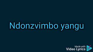 Jah Prayzah - Donhodzo (lyrics)