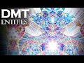 The unsolved mystery of dmt entity encounters