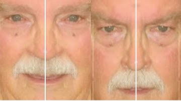 Ron Logan: The Banality of Innocence: "the search warrant"; Item 21; CELL TOWER (singular) DATA