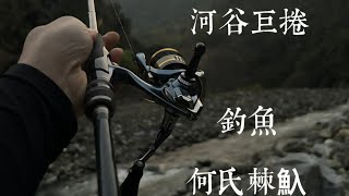 溪谷釣魚  朔溪 河谷 巨捲何氏棘魞#捲仔 溪谷獵人#shimano  l #何氏棘魞 fishing#gopro#釣魚