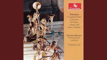 Concerto for 2 Horns in D Major, TWV 52:D2: II. Largo