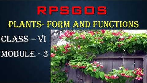 RPSGOS Plants  form and functions  Module 3 Class 6th