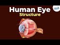 Structure of the Human eye | Don't Memorise