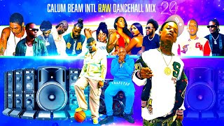 Dancehall Mix 2024 | New Dancehall Songs 2024 | Dip | Teejay,Tommy Lee,Bayka,Vybz kartel,Valiant