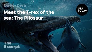 Meet the T-rex of the sea: The Pliosaur | The Excerpt