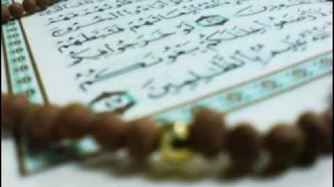 سورة الكافرون برواية البزي عن ابن كثير   محمد العبدالله