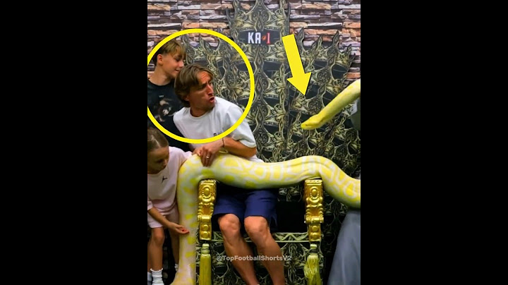 Luka Modric’s Epic Zoo Reaction 🤣🐍 #football #shorts #realmadrid