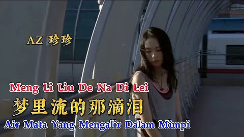 - Meng Li Liu De Na Di Lei - ( AZ  ) - 2022 - Air ...