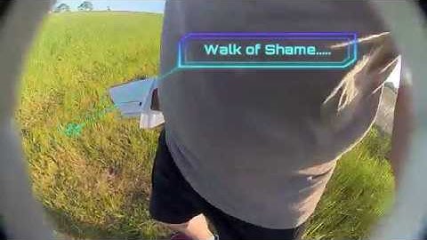 ZOHD Dart with  Caddx Turtle and a Fruit fly life span......