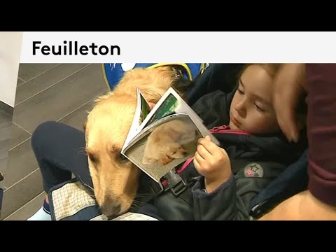 Association Handichien à Vineuil 41 Arrivée Du Chien Dans Sa Nouvelle Famille 44