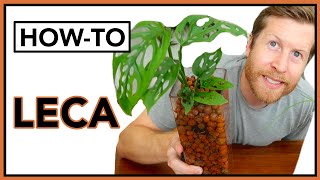 LECA Basics for Beginners / LECA 101 Semi Hydroponics | How To Ep 25