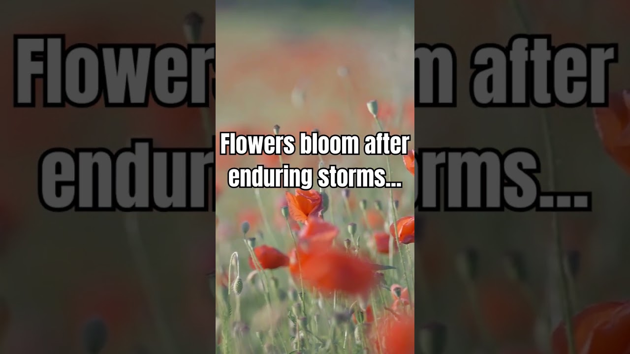 Never stop blooming ❤️