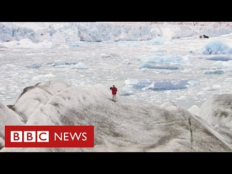 Vídeo: Após 6 Semanas, O Sol Voltou à Groenlândia