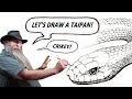 HOW TO DRAW A TAIPAN (Intermediate to Advanced)