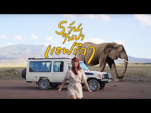 วีดีโอ: 5 เส้นทางซาฟารีที่ดีที่สุดในแทนซาเนีย