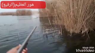 هور العظيم سمعها