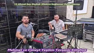 12 Ahmet bey Zeybek Elektro bağlama Oyun Havası Yeşilim Saz 2022 Albümü Elektro bağlama Mehmet cüney Resimi