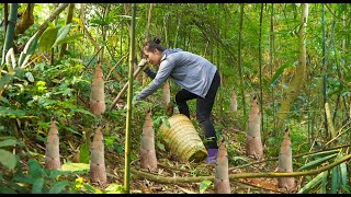 Harvesting Giant Bamboo Shoots to Bring to the Market to Sell | Make a Truss | Anh Nhu