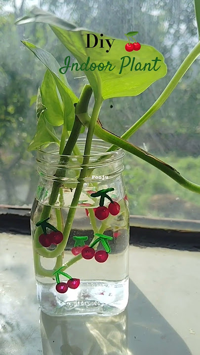 Cute Indoor Plant Decoration Idea  🌱🍒#diy #ytshort