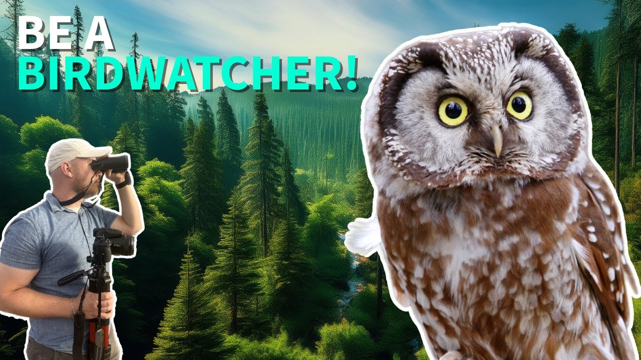 Birdwatching 101: 10 Essential Tips for Beginners - YouTube