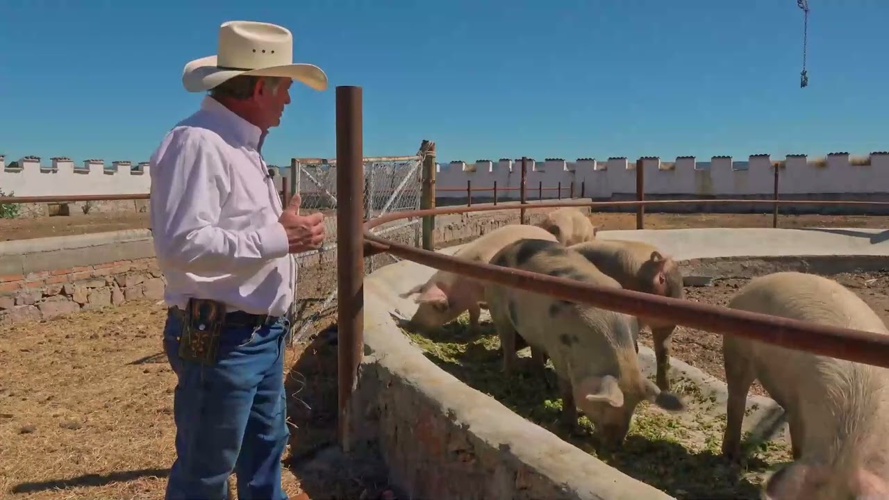 nopal forrajero enriquecido hasta en un 30% de