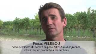 Agroécologie et multiperformance : des formations pour les agriculteurs – Midi-Pyrénées