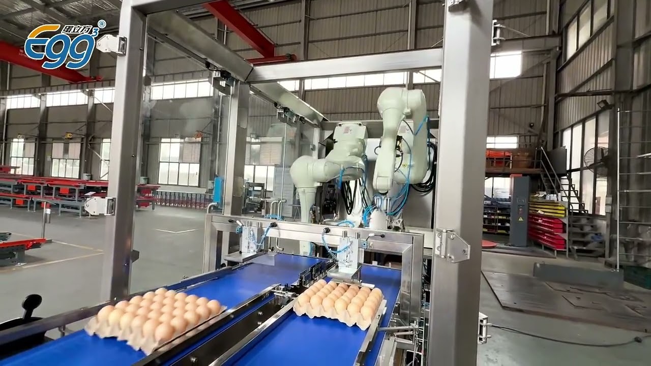 egg packing robot