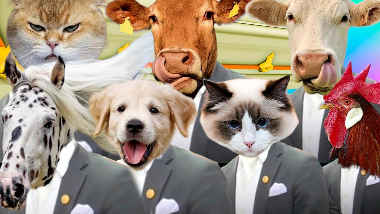 SUPER MEGAMIX FUNNY ANIMALS COFFIN DANCE ASTRONOMIA (PART 2)