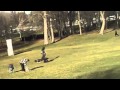 صقر يخطف طفل صقر يخطف طفل
