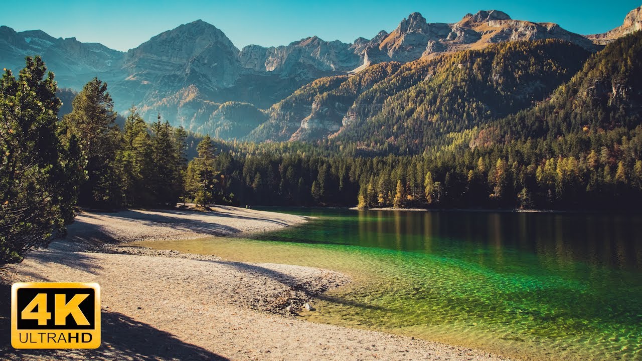 8 heures du beau monde vu dun oiseau 4K  Temps de relaxation