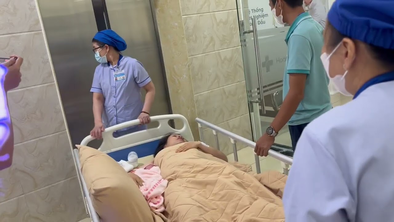 Hiền sinh Nhím. Ngày 11/4/ Ất tỵ