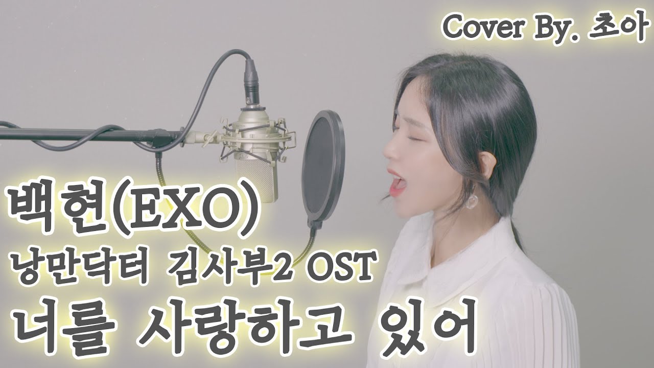 EXO백현-너를사랑하고있어 차은재가 부르면 이런 느낌?! (낭만닥터 김사부2 ost Key+4)