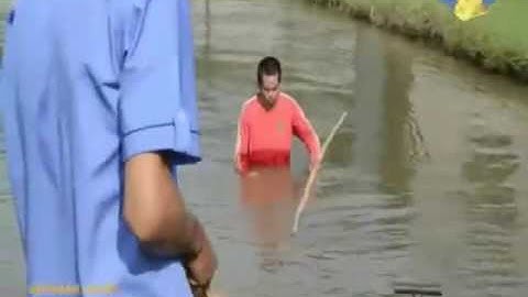 Trại Cá Rồng   Thiên Đường Cá Cảnh Sinh Vật cảnh 2016