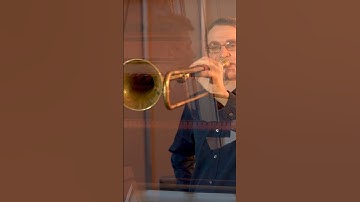 Most famous piece for Trumpet and Pipe Organ? #music #organ #church