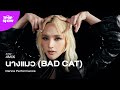 [ KDC T-POP SHOW (SS2) ] 4MIX - นางแมว (BAD CAT) | Dance Performance