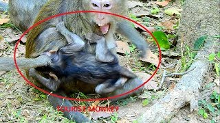 BREAKING HEART! Very terrify Mom hit baby monkey cos of request milk, Mom torturing baby so hard