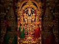 shrinivasa Govinda ✨🪔 Darshan Aarti 💖🚩 Tirupati Tirumala Balaji 🪷🪷Tirumala temple Govinda 🙏🏻🙏🏻