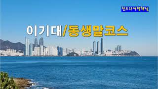 동생말 영상
