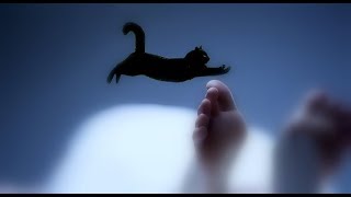 Linh miêu (mèo đen) và câu chuyện huyền bí