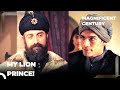 Suleiman Is Proud Of Prince Mehmed Magnificent Century Suleiman Is Proud Of Prince Mehmed Magnificent Century