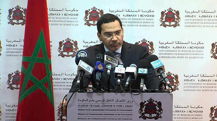 الاتصالات جارية لإعطاء مضمون للشراكة الاستراتيجية المنشودة بين المغرب ومصر ( مصطفى الخلفي )