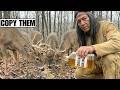 15 Apache Deer Hunting Tricks That Pull Bucks Straight to Your Stand