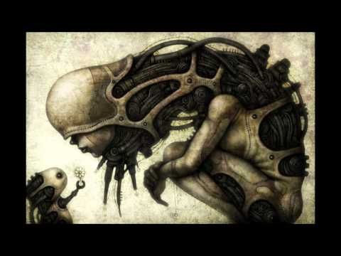 Enzym — Enzym - Veta