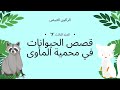 قصة الراكون الأبيض قصص الحيونات في محمية المأوى 3 White Raccoon Stories Of Animals 3 