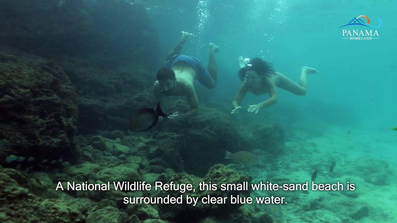 Panama Homeland Isla Iguana Pedasí
